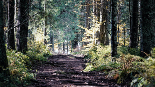 Start with a Walk and Take a Deep Breath